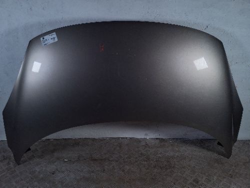RENAULT Scenic Bizu Bonnet