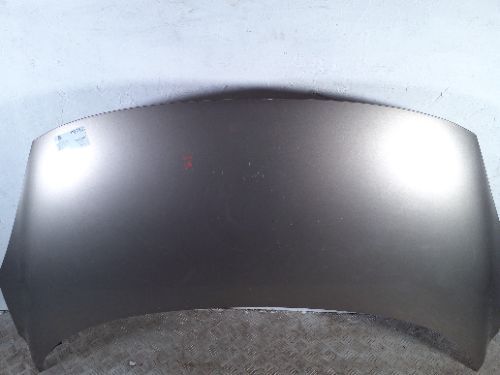 RENAULT Scenic Bizu Bonnet